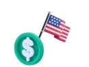 Dollar With Flag.webp